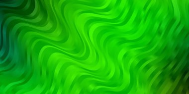 Açık Yeşil, kıvrımlı sarı vektör düzeni.
