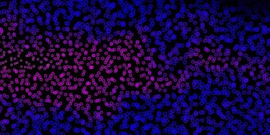 Koyu mor, üzerinde noktalar olan pembe vektör arkaplanı. Renkli çember şekilli modern soyut illüstrasyon. Duvar kağıtları, perdeler için desen.