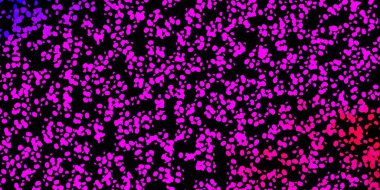 Koyu mor, kaotik şekilli pembe vektör arkaplanı. Soyut tarzda, gradyan formlarda basit tasarım. İşiniz için akıllı tasarım.