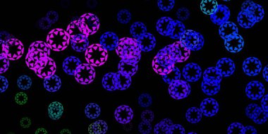 Küreli koyu renkli vektör deseni. Doğa tarzında rengarenk çizimler. Duvar kağıtları, perdeler için desen.