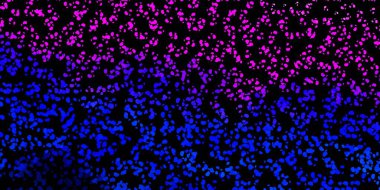 Soyut şekilli koyu pembe, mavi vektör deseni. Soyut tarzda renkli şekilli bir illüstrasyon. Cep telefonları için arka plan.