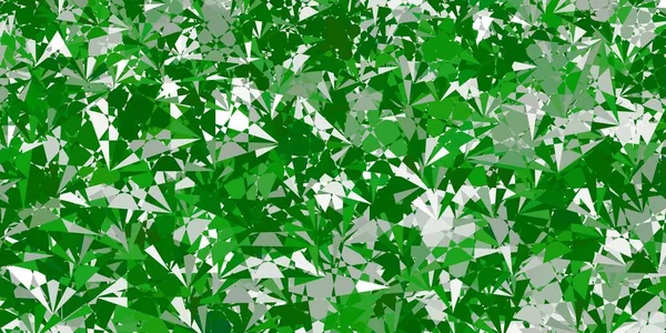Textura Vectorial Verde Claro Con Triángulos Aleatorios Ilustración Con Formas — Archivo Imágenes Vectoriales