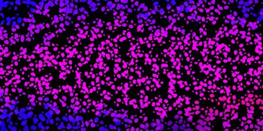 Koyu mor, pembe vektör arkaplan ve rastgele şekiller. Basit bir şekilde gradyan olan renkli soyut biçimler. Reklamlarınız için modern tasarım.