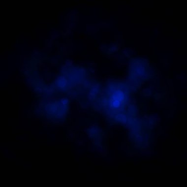 Disklerle koyu mavi vektör dokusu. Doğa tarzında renkli noktaları olan soyut illüstrasyon. Duvar kağıtları, perdeler için desen.