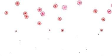 Açık pembe, kırmızı vektör karalama deseni ve çiçekler. Soyut arka planda gradyan çiçekleri olan modern tasarım. Kadınlar için gündüz terfisi.