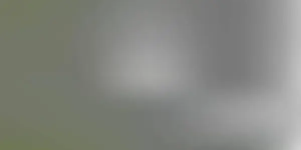 Світло Зелений Векторний Розмитий Візерунок Барвиста Градієнтна Абстрактна Ілюстрація Стилі — стоковий вектор