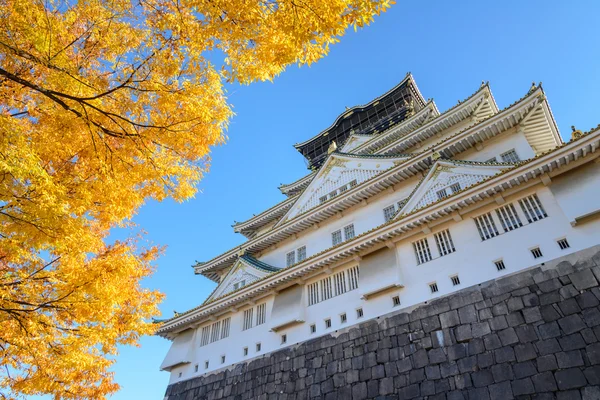 Castello di Osaka in autunno, Giappone — Foto Stock
