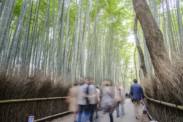 Бамбуковий ліс в Арасіяма в Кіото, Japa — стокове фото