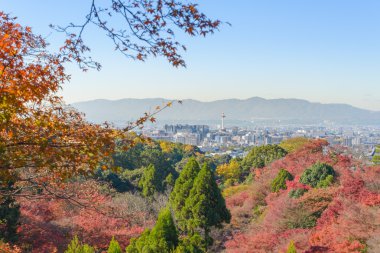 En iyi Viwe, Kyoto şehirden Kiyomizu-dera sonbaharda sezon kyoto