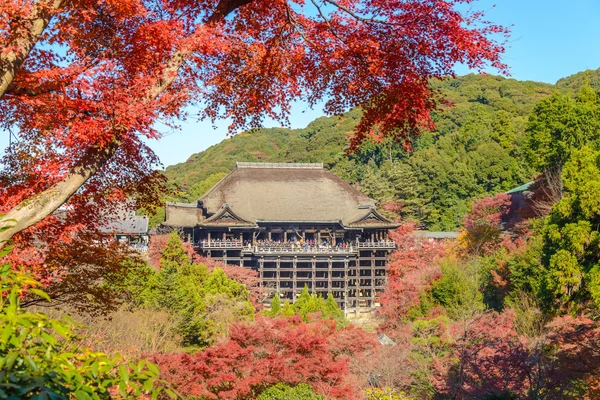Tempio di Kiyomizu-dera in stagione di autunno a Kyoto Japa — Foto Stock
