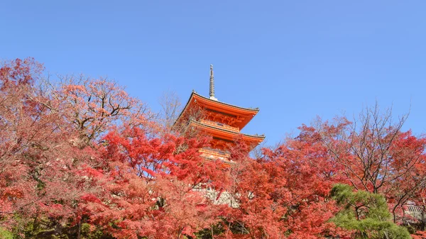 Pagode Vermelho no templo Kiyomizu-dera na temporada de autómatos em Kyoto Japa — Fotografia de Stock