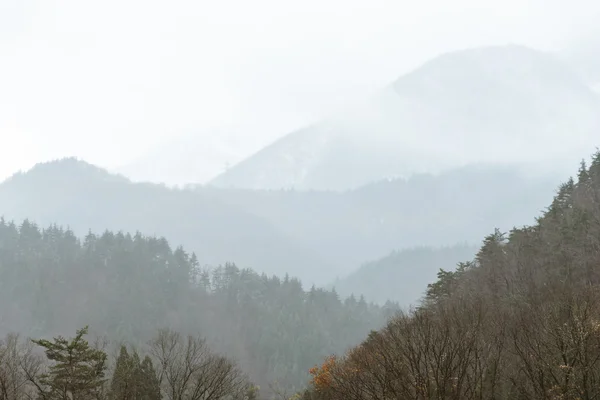 산과 나무 Gassho-zukuri 마을 풍경, 시라카와고 (라) 마, Japa — 스톡 사진