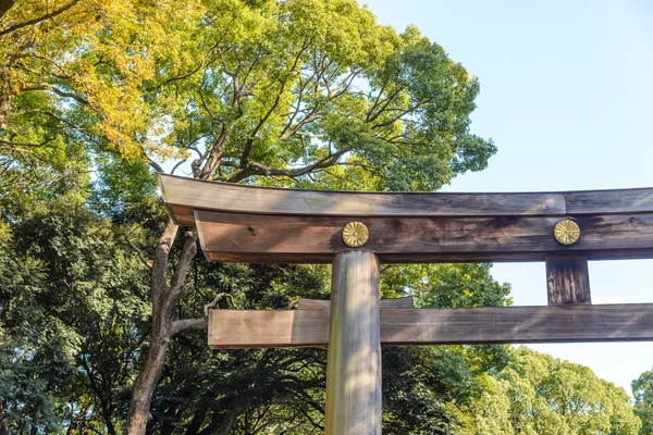 Торії Мейдзі галузь у Токіо, Японія. Найпопулярніші історичної святині в Японії — стокове фото