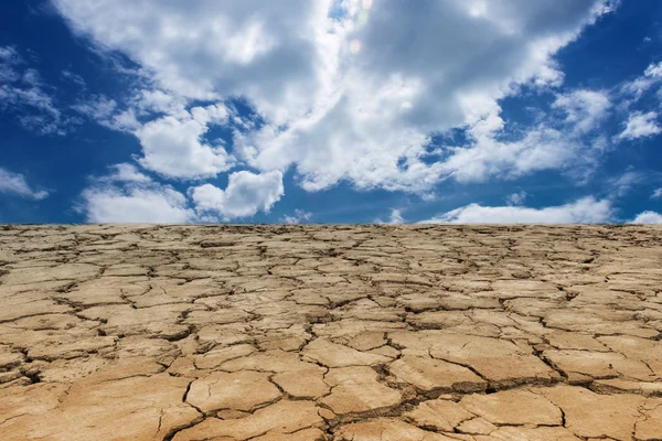 Drought land under the sky - cracked groun — Stock Photo, Image