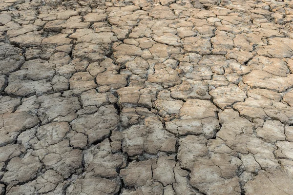 Droogte land - gebarsten groun — Stockfoto