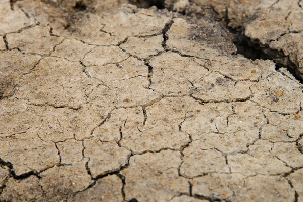 Tierra de sequía - tierra agrietada — Foto de Stock