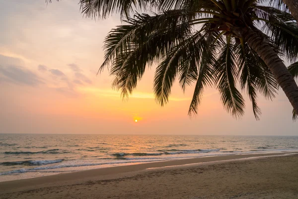 Západ slunce s Palm stromech siluetou v Chang ostrov nebo Koh Chang, — Stock fotografie