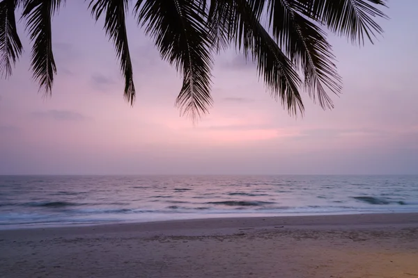 日落与棕榈树剪影在象岛或象岛, — 图库照片