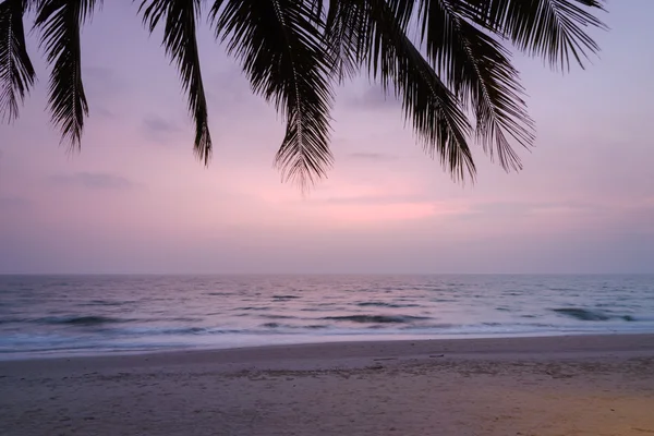 Západ slunce s Palm stromech siluetou v Chang ostrov nebo Koh Chang, — Stock fotografie