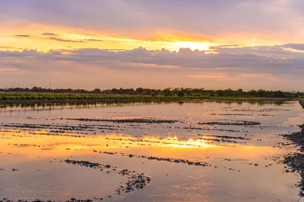 Twilight time op voorbereiden dat land planten bij rijst veld — Stockfoto