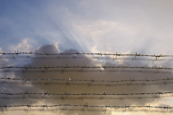 Cerca de alambre de púas con cielo nublado y luz de rayos. Siéntete silencioso y — Foto de Stock