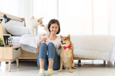 Genç Asyalı kadın evdeki yatak odasında üç köpekle (kahverengi shiba inu, beyaz shiba puppy ve beyaz maltese) rahatlıyor ve oynuyor, insanlarla ve evcil hayvanlarla neşeli ve hoş bir çift. Evcil hayvan sevgisi kavramı