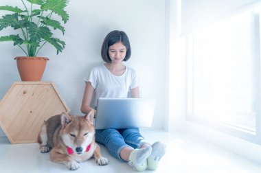 Güzel, genç Asyalı bir kadın oturma odasında Shiba Inu Japon köpeğiyle birlikte çalışıyor, neşeli ve insanlarla ve evcil hayvanlarıyla.