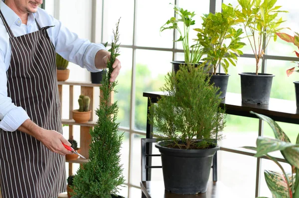 Retrato Homem Sênior Feliz Usando Óculos Aparando Com Tesoura Jardinagem — Fotografia de Stock