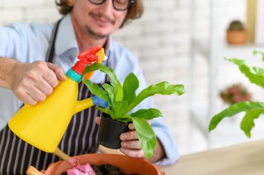 Bahçıvanın ellerine yakın çekim gözlüklü yaşlı adam evdeki bahçe işleri için saksıdaki küçük ağaçlara bakıyor.