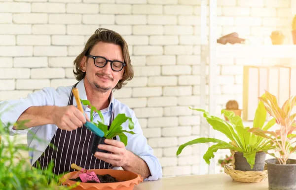 Portrait of happy gardener senior man wearing glasses taking care of small tree in plant pot as a hobby of home gardening at home