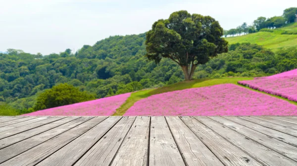 Blurry Quiet View Big Green Tree Growing Alone Blossoming Pink — Photo