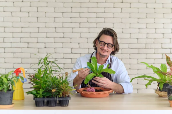 Portrait of happy gardener senior man wearing glasses taking care of small tree in plant pot as a hobby of home gardening at home