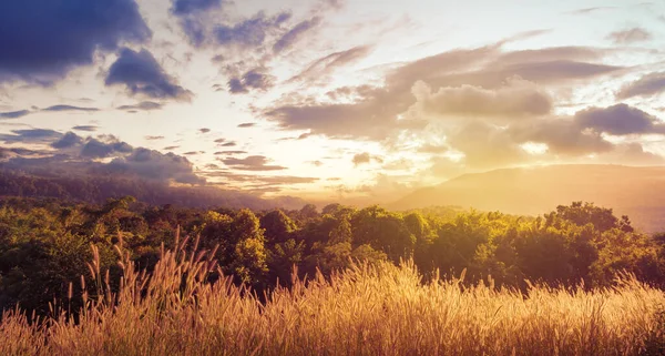 Landschap Bergen Vallei Tijdens Zonsondergang Natuurlijke Outdoor Achtergrond — Stockfoto