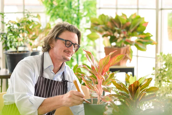 Portrait of happy gardener senior man wearing glasses taking care of small tree in plant pot as a hobby of home gardening at home