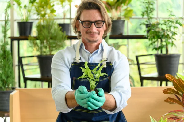 Jardineiro Homem Sênior Segurando Uma Planta Cultivada Sementes Fresca Com — Fotografia de Stock