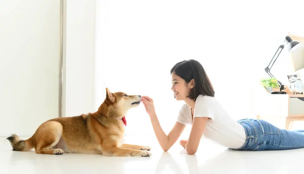 芝犬と遊ぶ床に座っている若いアジア人女性を笑いながら 人とペットと陽気で素敵なカップル 人とペットとの陽気で素敵なカップル ペット愛好家のコンセプト — ストック写真