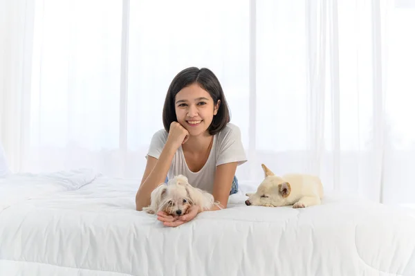 Jonge Aziatische Vrouw Ligt Wit Bed Met Maltese Witte Shiba — Stockfoto