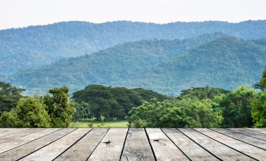 Orman arka planlar üzerinde ahşap zemin parke