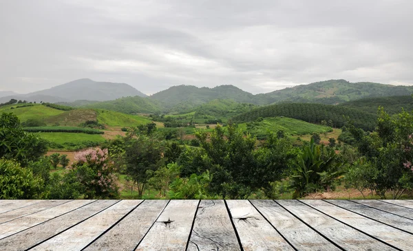 Pavage plancher de bois sur les milieux forestiers — Photo