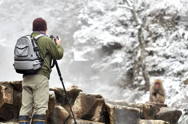 Een man nemen van foto's van professionele digitale camera in sneeuw Monkey, Japan — Stockfoto