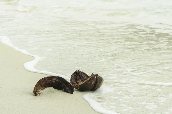 Cocos schil in het zand op de zee onder de zon — Stockfoto