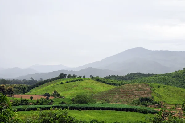 Green mountain scene — Stock Photo, Image