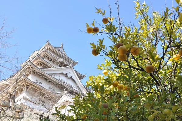 Himeji Castle, Japan — Stock Photo, Image