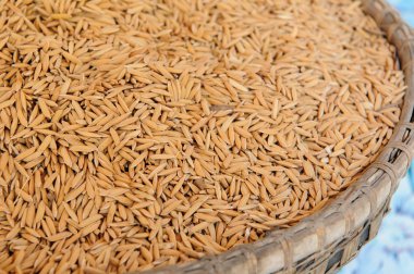 Çeltik pirinç bambu sepet içinde