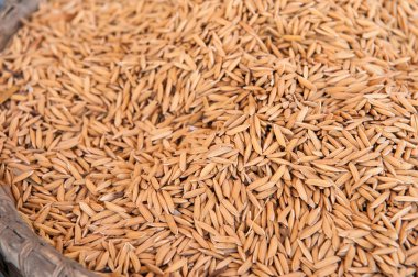 Çeltik pirinç bambu sepet içinde