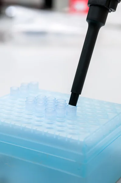 Pipetteer met meer blauw tip — Stockfoto