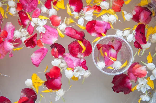 Voda s Jasmín a růže corolla v misce Songkran festival v Thajsku. — Stock fotografie