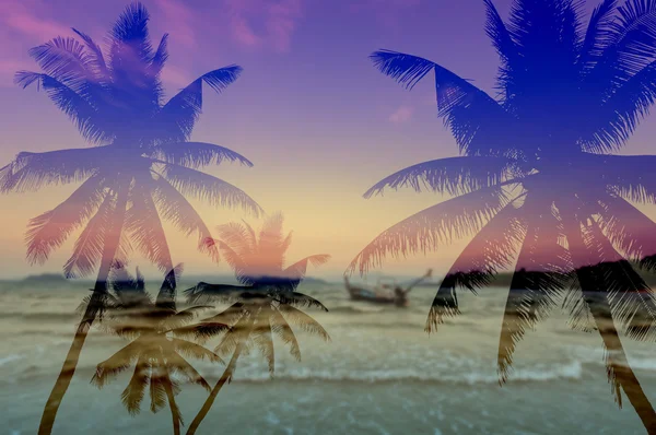 在沙滩上的椰子树剪影 — 图库照片