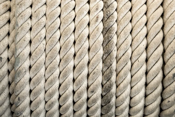 Fond et texture de corde — Photo