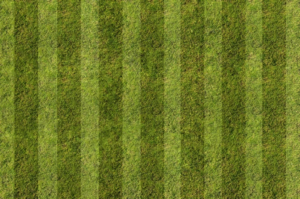 Green Grass. Textures and backgrounds — Stock Photo, Image